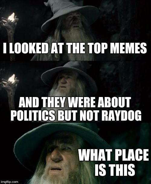 Confused Gandalf Meme | I LOOKED AT THE TOP MEMES AND THEY WERE ABOUT POLITICS BUT NOT RAYDOG WHAT PLACE IS THIS | image tagged in memes,confused gandalf | made w/ Imgflip meme maker