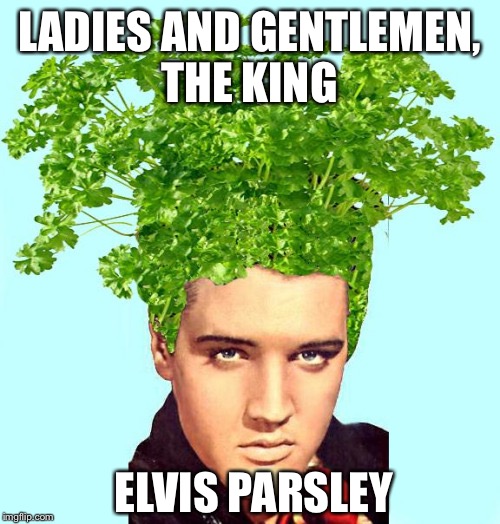 Elvis parsley | LADIES AND GENTLEMEN, THE KING ELVIS PARSLEY | image tagged in memes | made w/ Imgflip meme maker