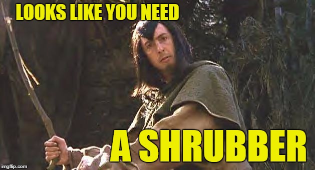 You need a Shrubber | LOOKS LIKE YOU NEED A SHRUBBER | image tagged in robert the shrubber,memes | made w/ Imgflip meme maker