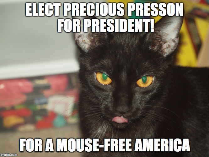 Precious for President | ELECT PRECIOUS PRESSON FOR PRESIDENT! FOR A MOUSE-FREE AMERICA | image tagged in humor | made w/ Imgflip meme maker