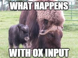 WHAT HAPPENS WITH OX INPUT | made w/ Imgflip meme maker