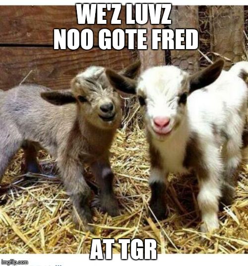 happy goats | WE'Z LUVZ NOO GOTE FRED AT TGR | image tagged in happy goats | made w/ Imgflip meme maker