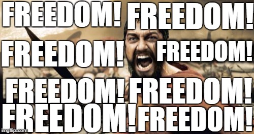 Sparta Leonidas Meme | FREEDOM! FREEDOM! FREEDOM! FREEDOM! FREEDOM! FREEDOM! FREEDOM! FREEDOM! | image tagged in memes,sparta leonidas | made w/ Imgflip meme maker