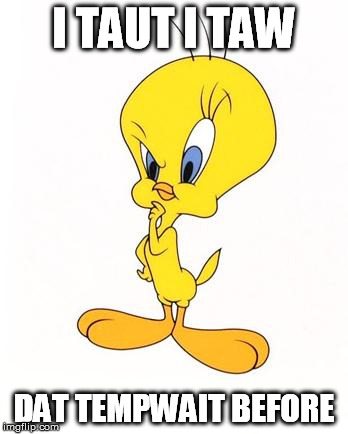 tweety | I TAUT I TAW DAT TEMPWAIT BEFORE | image tagged in tweety | made w/ Imgflip meme maker