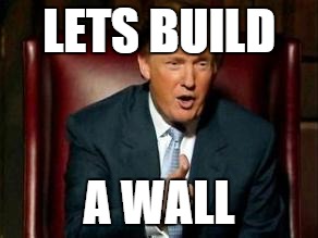 Donald Trump | LETS BUILD A WALL | image tagged in donald trump | made w/ Imgflip meme maker