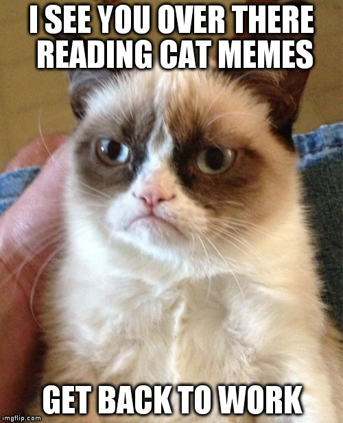 Grumpy Cat Meme | I SEE YOU OVER THERE READING CAT MEMES GET BACK TO WORK | image tagged in memes,grumpy cat | made w/ Imgflip meme maker