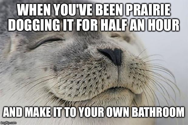 Satisfied Seal | WHEN YOU'VE BEEN PRAIRIE DOGGING IT FOR HALF AN HOUR AND MAKE IT TO YOUR OWN BATHROOM | image tagged in memes,satisfied seal | made w/ Imgflip meme maker