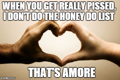 these should be the lyrics to this famous song | WHEN YOU GET REALLY PISSED, I DON'T DO THE HONEY DO LIST THAT'S AMORE | image tagged in true love | made w/ Imgflip meme maker