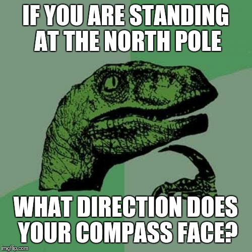 Philosoraptor Meme | IF YOU ARE STANDING AT THE NORTH POLE WHAT DIRECTION DOES YOUR COMPASS FACE? | image tagged in memes,philosoraptor | made w/ Imgflip meme maker