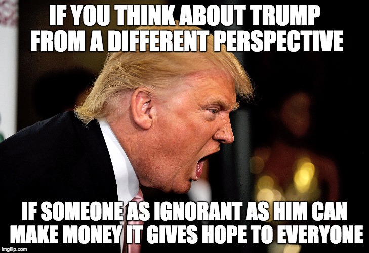 Trump gives us all hope! | IF YOU THINK ABOUT TRUMP FROM A DIFFERENT PERSPECTIVE IF SOMEONE AS IGNORANT AS HIM CAN MAKE MONEY IT GIVES HOPE TO EVERYONE | image tagged in trump,ignorance,hope,perspective,success,money | made w/ Imgflip meme maker