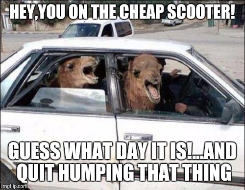 Quit Hatin | HEY,YOU ON THE CHEAP SCOOTER! GUESS WHAT DAY IT IS!...AND QUIT HUMPING THAT THING | image tagged in memes,quit hatin | made w/ Imgflip meme maker