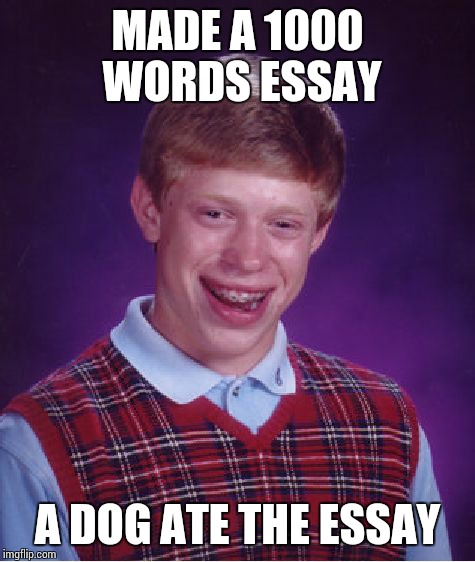 Bad Luck Brian Meme | MADE A 1000 WORDS ESSAY A DOG ATE THE ESSAY | image tagged in memes,bad luck brian | made w/ Imgflip meme maker