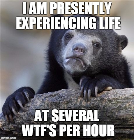 Confession Bear Meme | I AM PRESENTLY EXPERIENCING LIFE AT SEVERAL WTF'S PER HOUR | image tagged in memes,confession bear | made w/ Imgflip meme maker