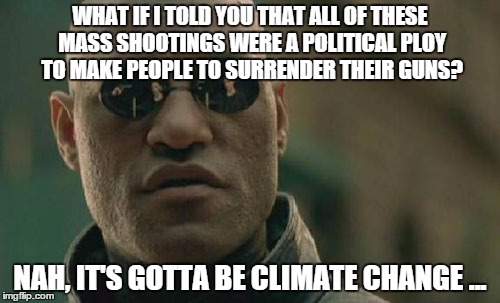 Matrix Morpheus | WHAT IF I TOLD YOU THAT ALL OF THESE MASS SHOOTINGS WERE A POLITICAL PLOY TO MAKE PEOPLE TO SURRENDER THEIR GUNS? NAH, IT'S GOTTA BE CLIMATE | image tagged in memes,matrix morpheus | made w/ Imgflip meme maker