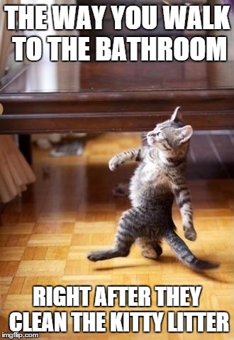 Cool Cat Stroll Meme | THE WAY YOU WALK TO THE BATHROOM RIGHT AFTER THEY CLEAN THE KITTY LITTER | image tagged in memes,cool cat stroll | made w/ Imgflip meme maker