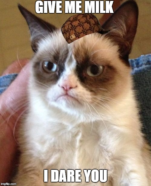 Grumpy Cat Meme | GIVE ME MILK I DARE YOU | image tagged in memes,grumpy cat,scumbag | made w/ Imgflip meme maker