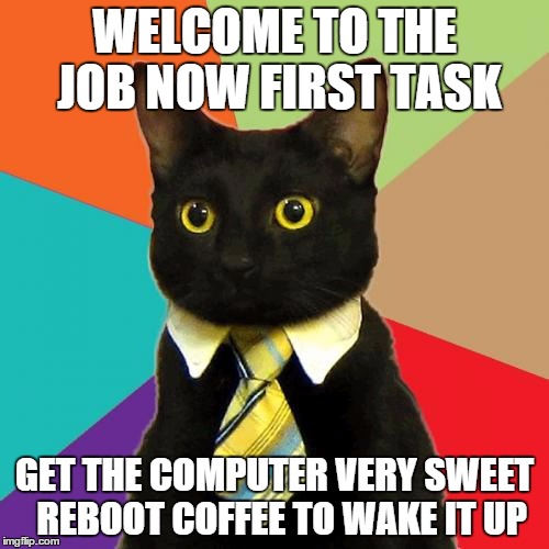 Business Cat | WELCOME TO THE JOB NOW FIRST TASK GET THE COMPUTER VERY SWEET  REBOOT COFFEE TO WAKE IT UP | image tagged in memes,business cat | made w/ Imgflip meme maker