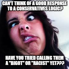 Brain Freeze | CAN'T THINK OF A GOOD RESPONSE TO A CONSERVATIVES LOGIC? HAVE YOU TRIED CALLING THEM A "BIGOT" OR "RACIST" YET??? | image tagged in funny memes,liberals,memes,brain freeze | made w/ Imgflip meme maker