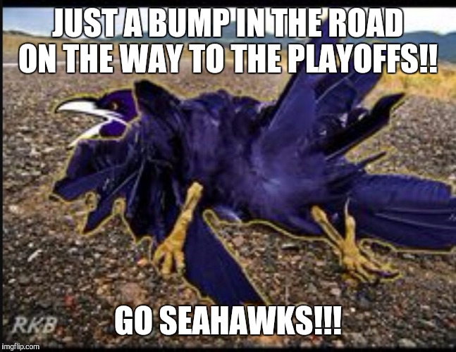 Ravens/Seahawks  | JUST A BUMP IN THE ROAD ON THE WAY TO THE PLAYOFFS!! GO SEAHAWKS!!! | image tagged in seattle seahawks | made w/ Imgflip meme maker