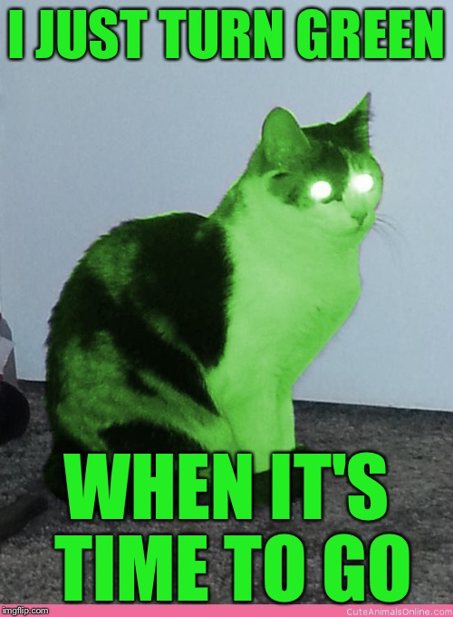Hypno Raycat | I JUST TURN GREEN WHEN IT'S TIME TO GO | image tagged in hypno raycat | made w/ Imgflip meme maker