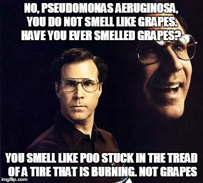 Will Ferrell | NO, PSEUDOMONAS AERUGINOSA, YOU DO NOT SMELL LIKE GRAPES. HAVE YOU EVER SMELLED GRAPES? YOU SMELL LIKE POO STUCK IN THE TREAD OF A TIRE THAT | image tagged in memes,will ferrell | made w/ Imgflip meme maker