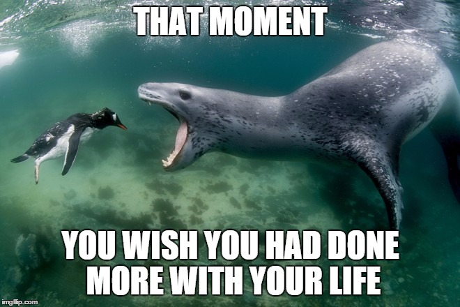 THAT MOMENT YOU WISH YOU HAD DONE MORE WITH YOUR LIFE | image tagged in memes,shit happens | made w/ Imgflip meme maker