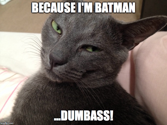 BECAUSE I'M BATMAN ...DUMBASS! | image tagged in batman | made w/ Imgflip meme maker
