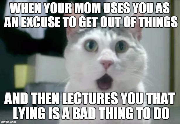 OMG Cat Meme | WHEN YOUR MOM USES YOU AS AN EXCUSE TO GET OUT OF THINGS AND THEN LECTURES YOU THAT LYING IS A BAD THING TO DO | image tagged in memes,omg cat | made w/ Imgflip meme maker