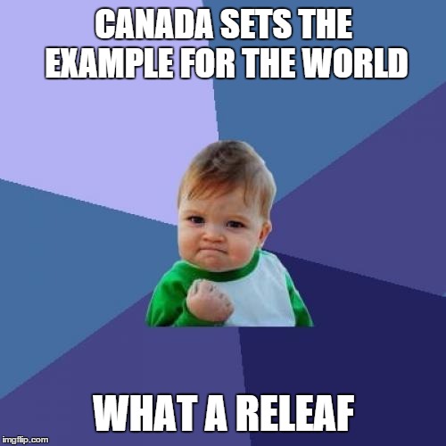 Success Kid | CANADA SETS THE EXAMPLE FOR THE WORLD WHAT A RELEAF | image tagged in memes,success kid | made w/ Imgflip meme maker