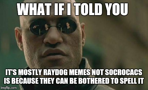 Matrix Morpheus Meme | WHAT IF I TOLD YOU IT'S MOSTLY RAYDOG MEMES NOT SOCROCACS IS BECAUSE THEY CAN BE BOTHERED TO SPELL IT | image tagged in memes,matrix morpheus | made w/ Imgflip meme maker
