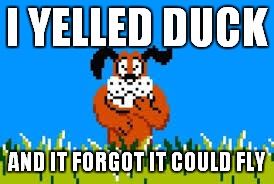 I YELLED DUCK AND IT FORGOT IT COULD FLY | made w/ Imgflip meme maker