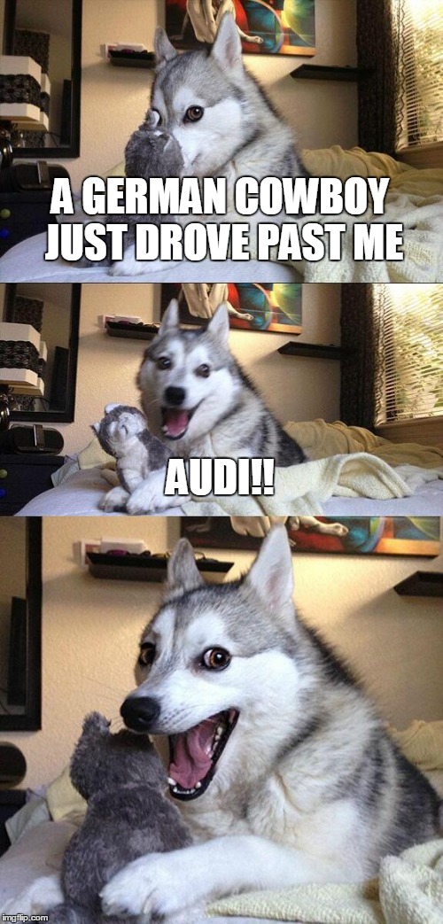 Bad Pun Dog Meme | A GERMAN COWBOY JUST DROVE PAST ME AUDI!! | image tagged in memes,bad pun dog | made w/ Imgflip meme maker