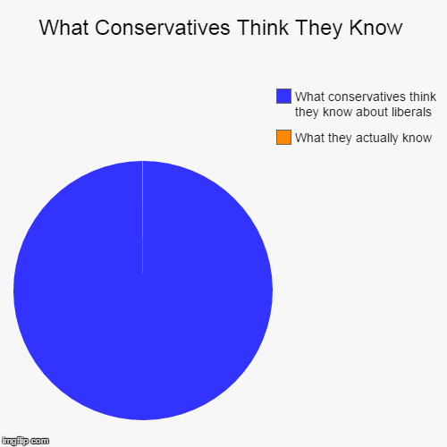 This is why I don't like polotics | image tagged in funny,pie charts | made w/ Imgflip chart maker