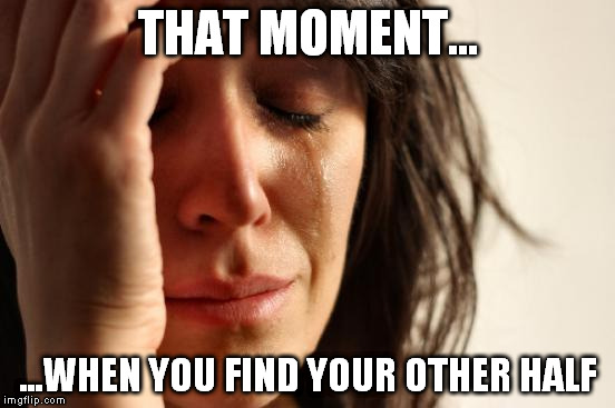 First World Problems Meme | THAT MOMENT... ...WHEN YOU FIND YOUR OTHER HALF | image tagged in memes,first world problems | made w/ Imgflip meme maker