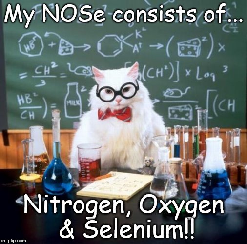 Chemistry Cat | My NOSe consists of... Nitrogen, Oxygen & Selenium!! | image tagged in memes,chemistry cat,nose,nitrogen,oxygen,selenium | made w/ Imgflip meme maker