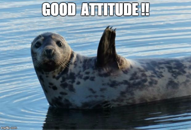 Seal | GOOD  ATTITUDE !! | image tagged in seal | made w/ Imgflip meme maker