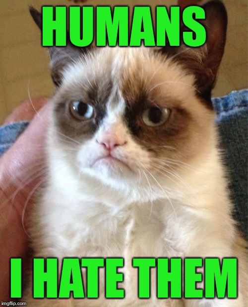 Grumpy Cat Meme | HUMANS I HATE THEM | image tagged in memes,grumpy cat | made w/ Imgflip meme maker