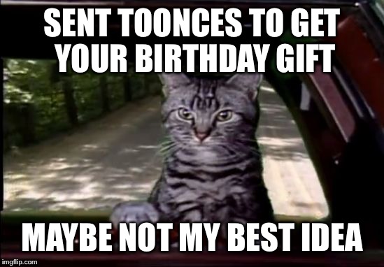 toonces | SENT TOONCES TO GET YOUR BIRTHDAY GIFT MAYBE NOT MY BEST IDEA | image tagged in toonces | made w/ Imgflip meme maker