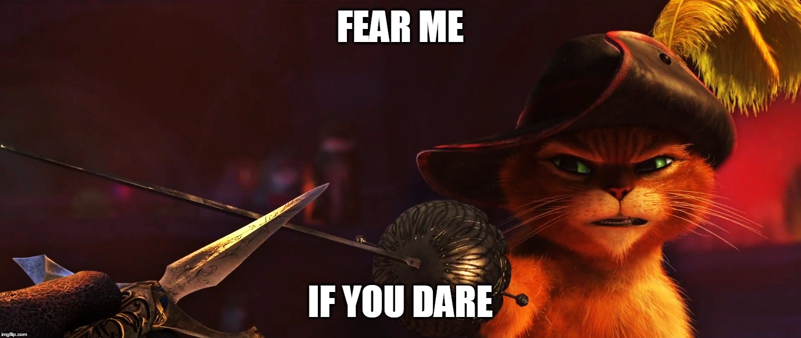 Fear Me | FEAR ME IF YOU DARE | image tagged in meow | made w/ Imgflip meme maker
