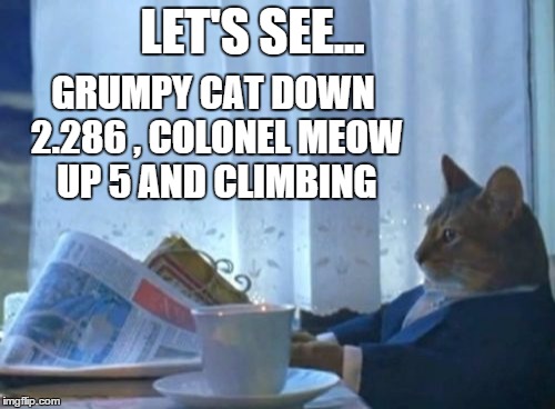 gotta luv kitty stocks! | LET'S SEE... GRUMPY CAT DOWN 2.286 , COLONEL MEOW UP 5 AND CLIMBING | image tagged in memes,i should buy a boat cat,grumpy cat,funny memes,stock,colonel meow | made w/ Imgflip meme maker