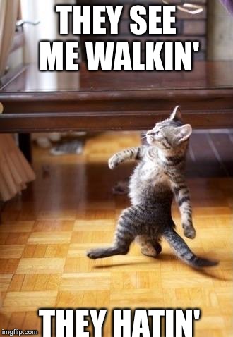 Cool Cat Stroll | THEY SEE ME WALKIN' THEY HATIN' | image tagged in memes,cool cat stroll | made w/ Imgflip meme maker