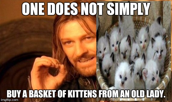 One Does Not Simply | ONE DOES NOT SIMPLY BUY A BASKET OF KITTENS FROM AN OLD LADY. | image tagged in memes,one does not simply | made w/ Imgflip meme maker