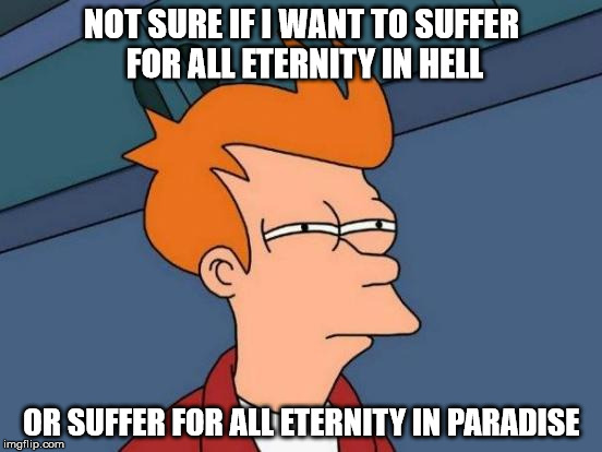 Paradise doesn't even have internet... | NOT SURE IF I WANT TO SUFFER FOR ALL ETERNITY IN HELL OR SUFFER FOR ALL ETERNITY IN PARADISE | image tagged in memes,futurama fry | made w/ Imgflip meme maker