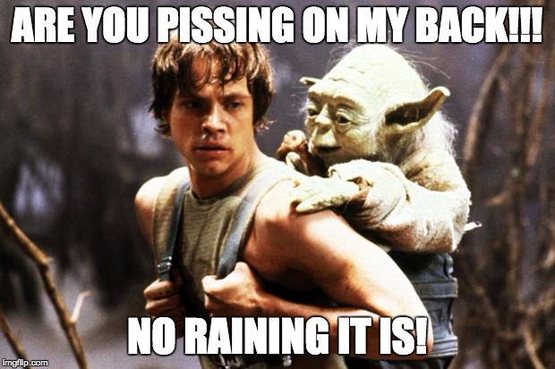 star wars | ARE YOU PISSING ON MY BACK!!! NO RAINING IT IS! | image tagged in star wars | made w/ Imgflip meme maker