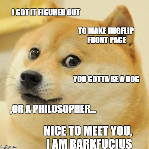 i got it figured out...philosophical dog. | I GOT IT FIGURED OUT TO MAKE IMGFLIP FRONT PAGE YOU GOTTA BE A DOG ,OR A PHILOSOPHER... NICE TO MEET YOU, I AM BARKFUCIUS | image tagged in memes,doge,mean while on imgflip,imgflip,funny memes,philosophy | made w/ Imgflip meme maker