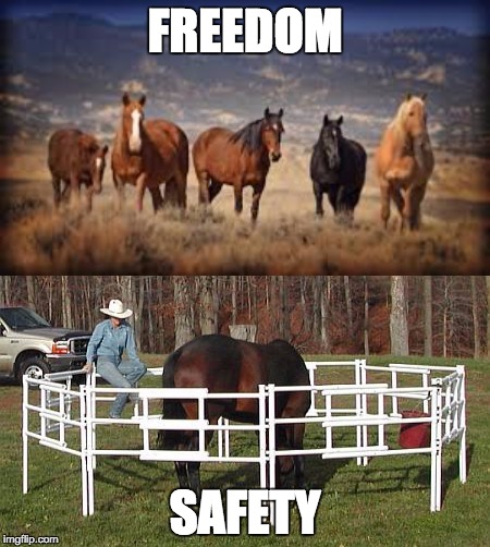 FREEDOM SAFETY | image tagged in freedom,safety | made w/ Imgflip meme maker