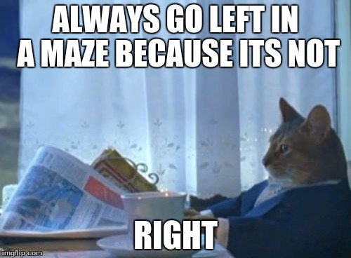 I Should Buy A Boat Cat | ALWAYS GO LEFT IN A MAZE BECAUSE ITS NOT RIGHT | image tagged in memes,i should buy a boat cat | made w/ Imgflip meme maker