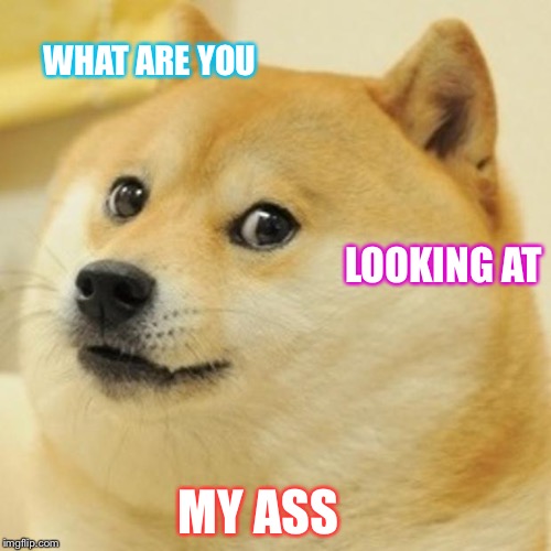 Doge Meme | WHAT ARE YOU LOOKING AT MY ASS | image tagged in memes,doge | made w/ Imgflip meme maker