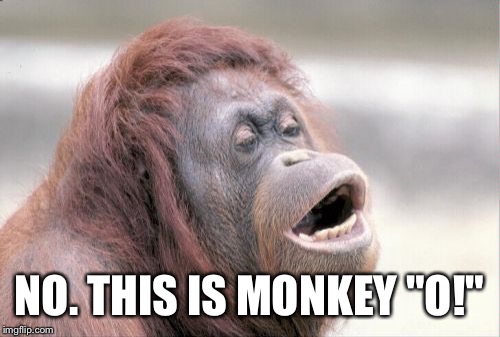 Monkey OOH | NO. THIS IS MONKEY "O!" | image tagged in memes,monkey ooh | made w/ Imgflip meme maker