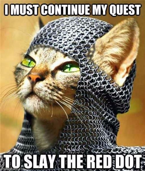 I will Slay Thy One Day... | image tagged in memes,cats,laser,knight | made w/ Imgflip meme maker